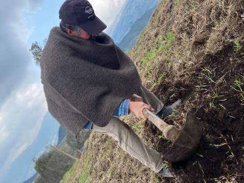 Del campo a las plazas de mercado: retos de los campesinos para abastecer a Bogotá