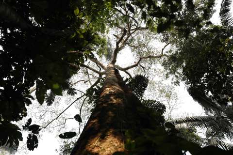 Festival Cordillera, el primero con una conciencia ambiental para América Latina