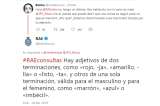"Imbécil": la respuesta de la RAE a un usuario que se vuelve viral
