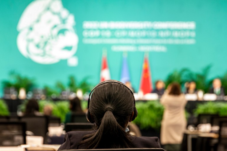 Proyecto de acuerdo sobre biodiversidad de ONU protege 30% del planeta