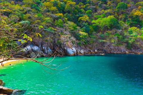 7 playas imperdibles en Puerto Vallarta, México