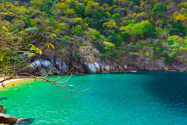 7 playas imperdibles en Puerto Vallarta, México