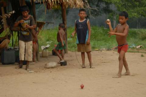 Alimentación de la Amazonia, en riesgo