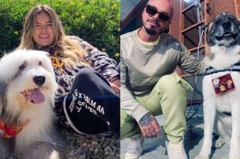 (Video) Las mascotas de Karol G, Juanes, J Balvin y más cantantes colombianos