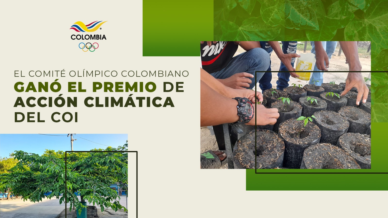 Comité Olímpico Colombiano, ganador del premio de acción climática del COI