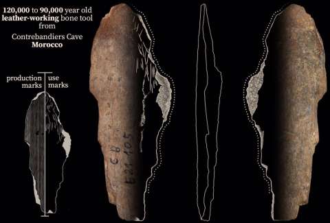 Encuentran evidencia de que los humanos fabricaban ropa desde hace 120.000 años