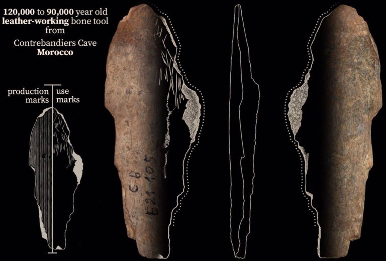 Encuentran evidencia de que los humanos fabricaban ropa desde hace 120.000 años