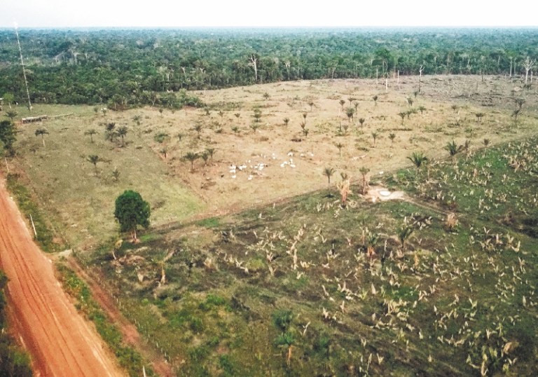 “Nuestra supervivencia en el mundo depende de la conservación de la Amazonia”