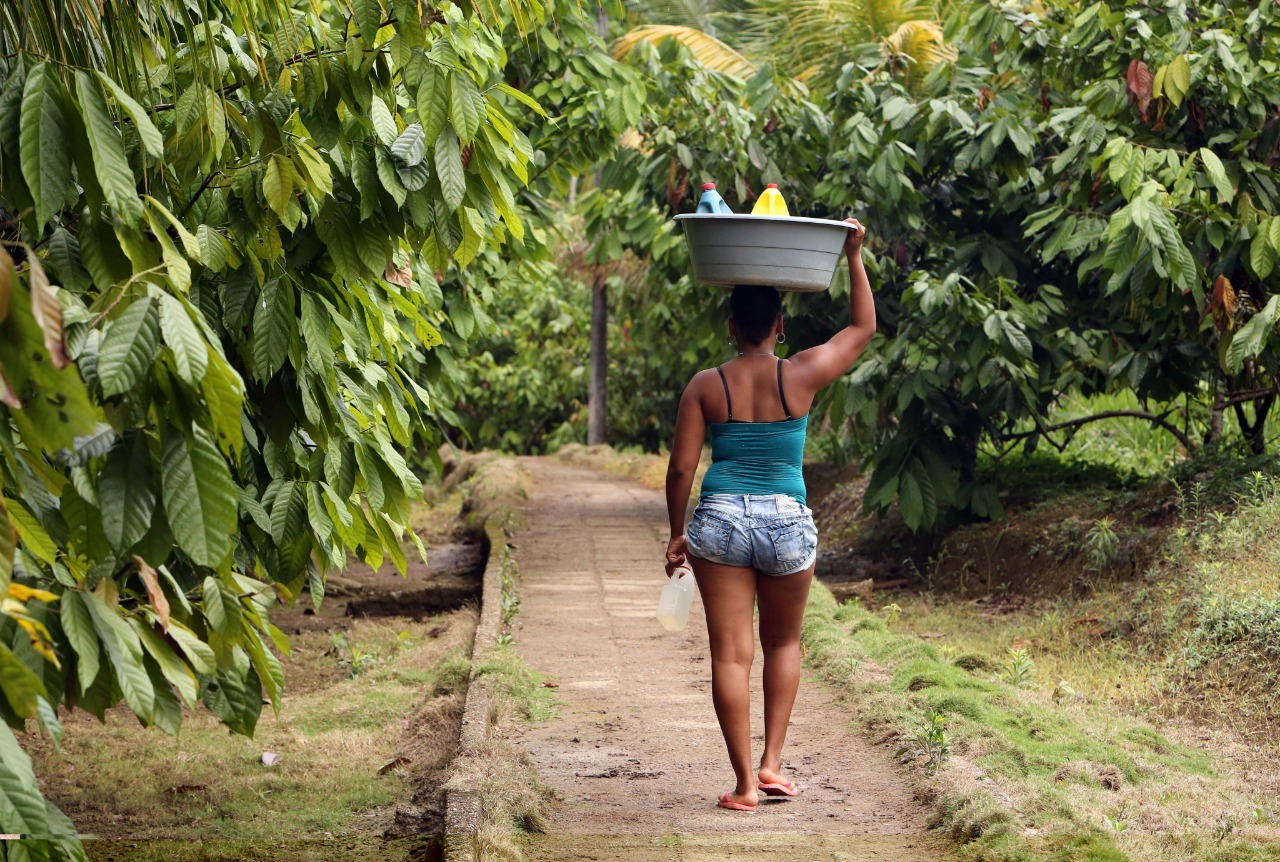 Reconociendo las fallas en la recolección de información, el DANE cruzó datos de otras fuentes y estableció que en Colombia la población afro oficialmente es de 4,6 millones de habitantes, es decir, el 9,34 % de la población del país. / EFE