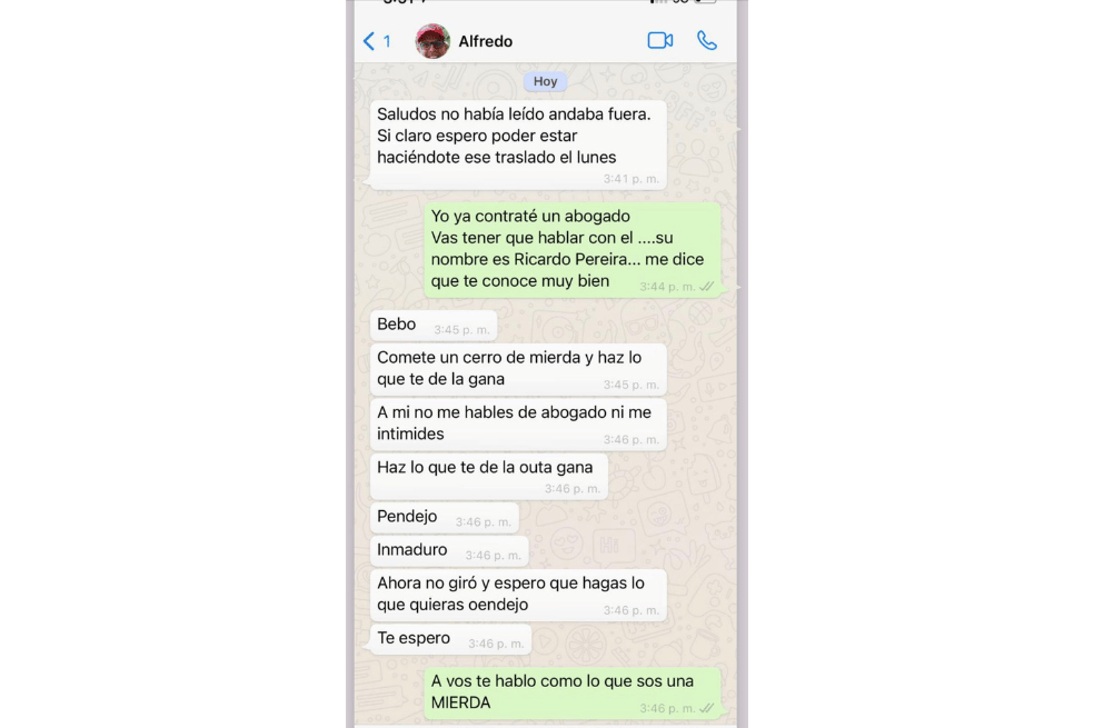 Chats Alfredo Saade