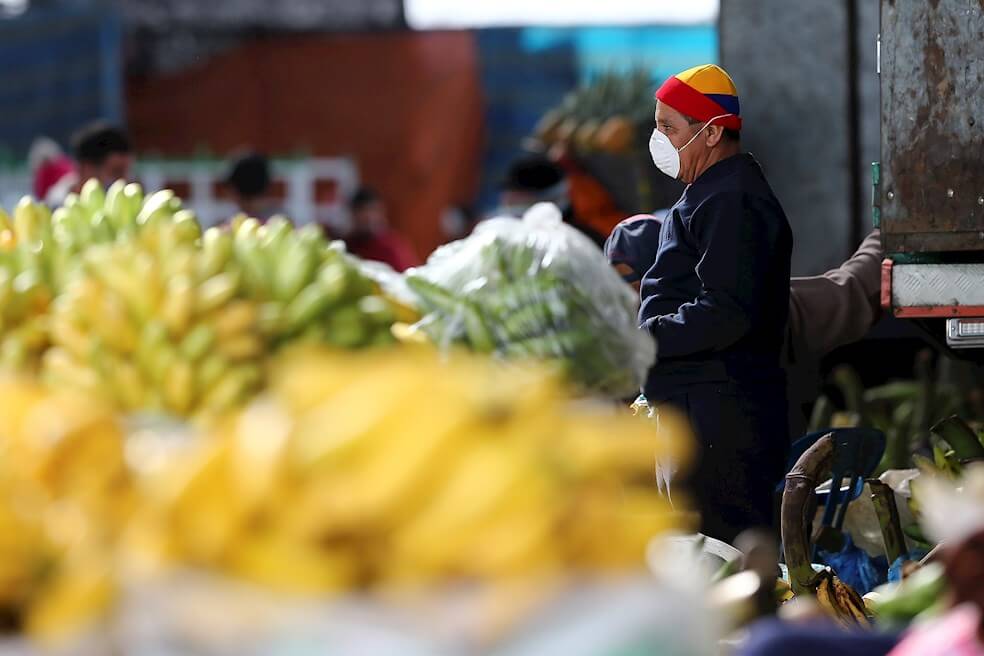 La pandemia está afectando a cuatro pilares de la seguridad alimentaria: el acceso a los alimentos, su disponibilidad, su uso y su estabilidad.