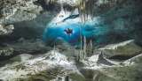 Así es el primer catálogo mundial de ecosistemas