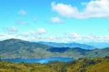 Bosques de energía