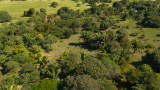 Corredor de vida del Cesar: el corazón de la transición territorial justa en Colombia