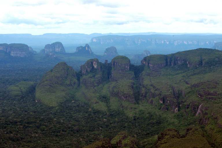 En 2024 se han abierto 1.381 kilómetros de vías ilegales en la Amazonia colombiana