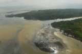 Señalarnos como responsables de emergencia ambiental carece de razón: Farc