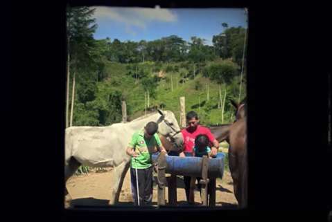 Familias desplazadas regresan a cuidar flora y fauna de sus tierras