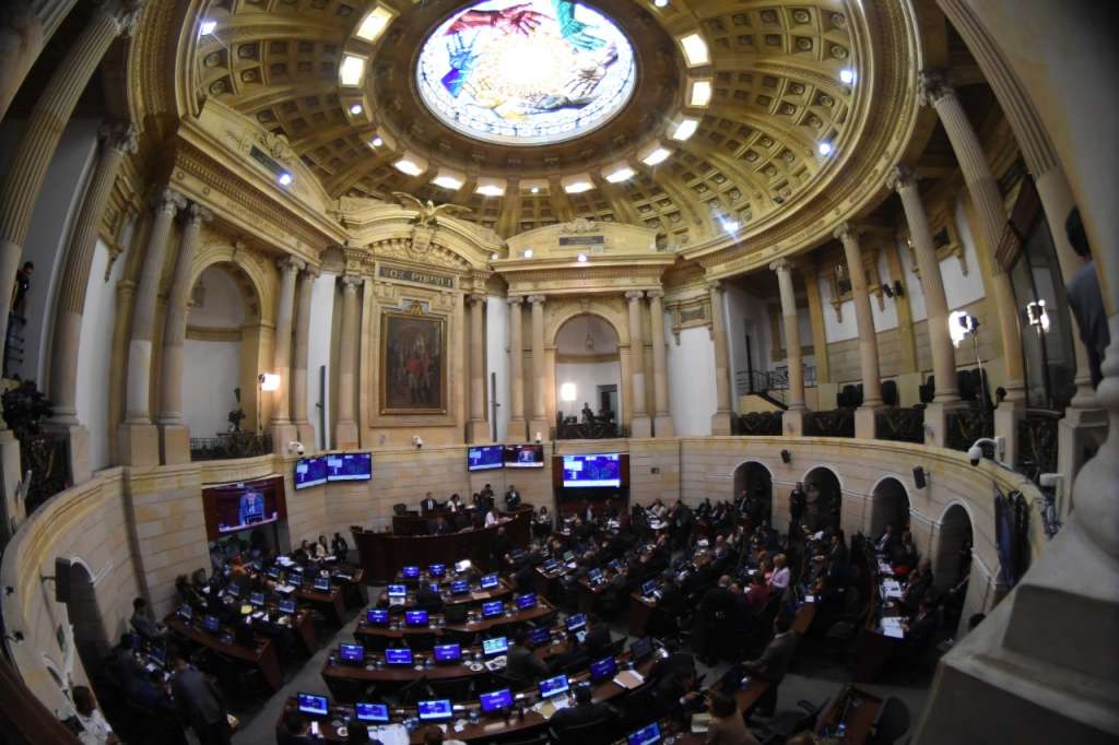 Este jueves se definiría el futuro de las objeciones, después de tres largos debates en la plenaria del Senado. / Cristian Garavito - El Espectador