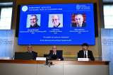 Confusión en el Premio Nobel de Química: filtraron información sobre los ganadores