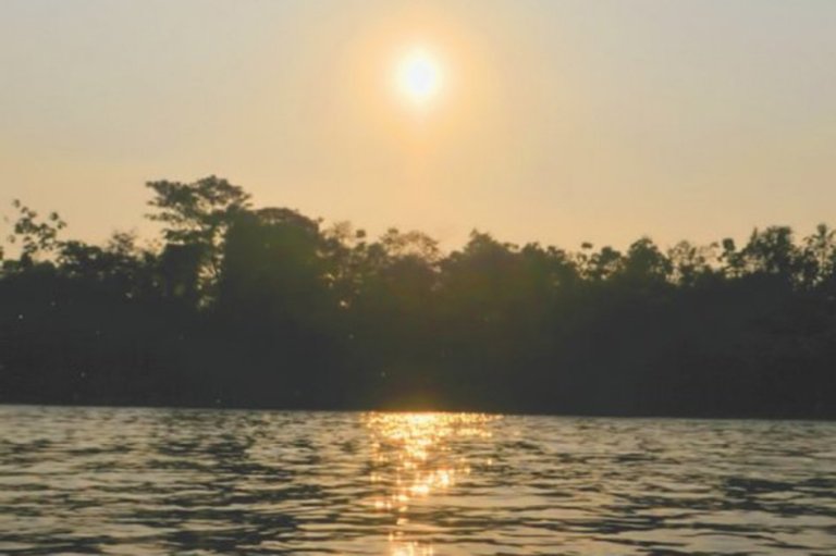 Nos va quedando poco del río Magdalena, la pesca ha caído en más de 50%