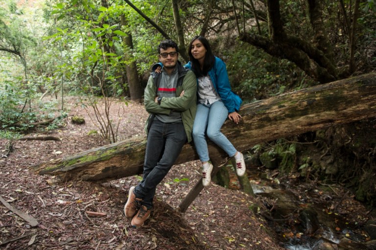 Ellos enseñan educación ambiental a través de libros para colorear