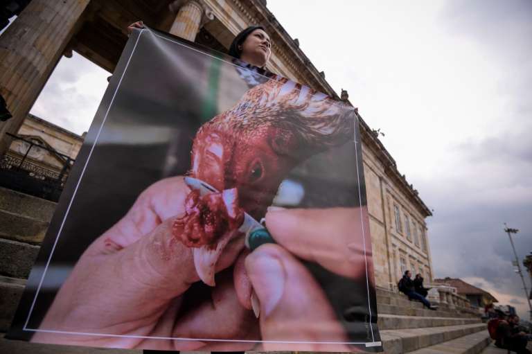 Protestas en defensa de los derechos animales