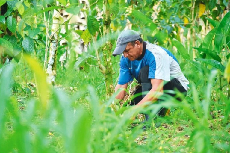 Demanda pide ordenar a los beneficiarios de créditos de Finagro devolver la plata