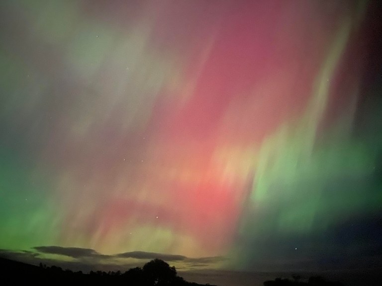 ¿Quiere ver auroras y no sabe cómo? Esto es para usted