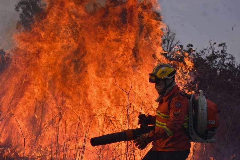 Desde junio comenzaron los incendios en el Pantanal. Se estimó que durante este tiempo se quemaron 440.000 hectáreas de bosque. Este dato es alarmante porque la temporada de incendios en este ecosistema empieza hasta julio.