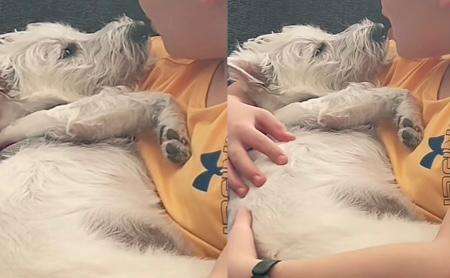 Niño le canta a su perrita “Sky Full of Stars” de Coldplay y la banda reacciona