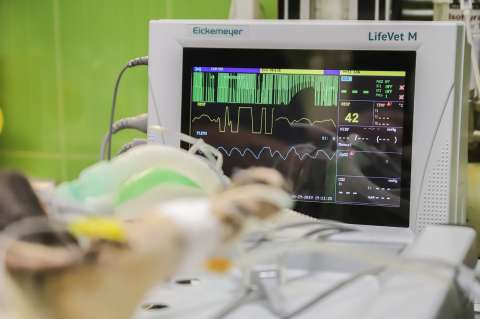 ¿Qué se siente estar ‘cerca’ a la muerte? Esto encontraron en un grupo de pacientes