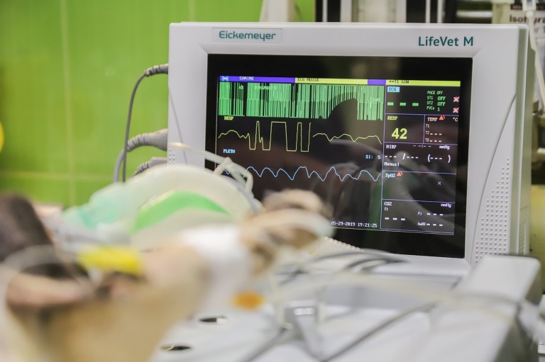 ¿Qué se siente estar ‘cerca’ a la muerte? Esto encontraron en un grupo de pacientes