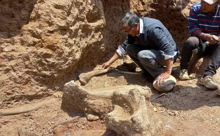 Hallan restos de animales de más de 11 mil años en Perú: ¿de qué especie son?