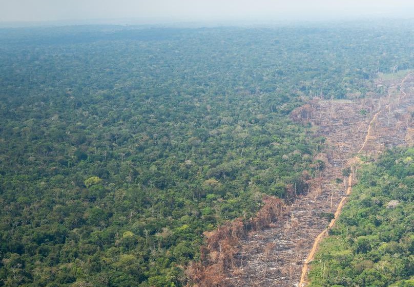 Imágenes del sobrevuelo realizado por el ministro de Ambiente y el ministro de Defensa sobre el Parque Nacional Natural Serranía de Chiribiquete.