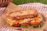 ¿Cómo hacer un delicioso sándwich de pollo?