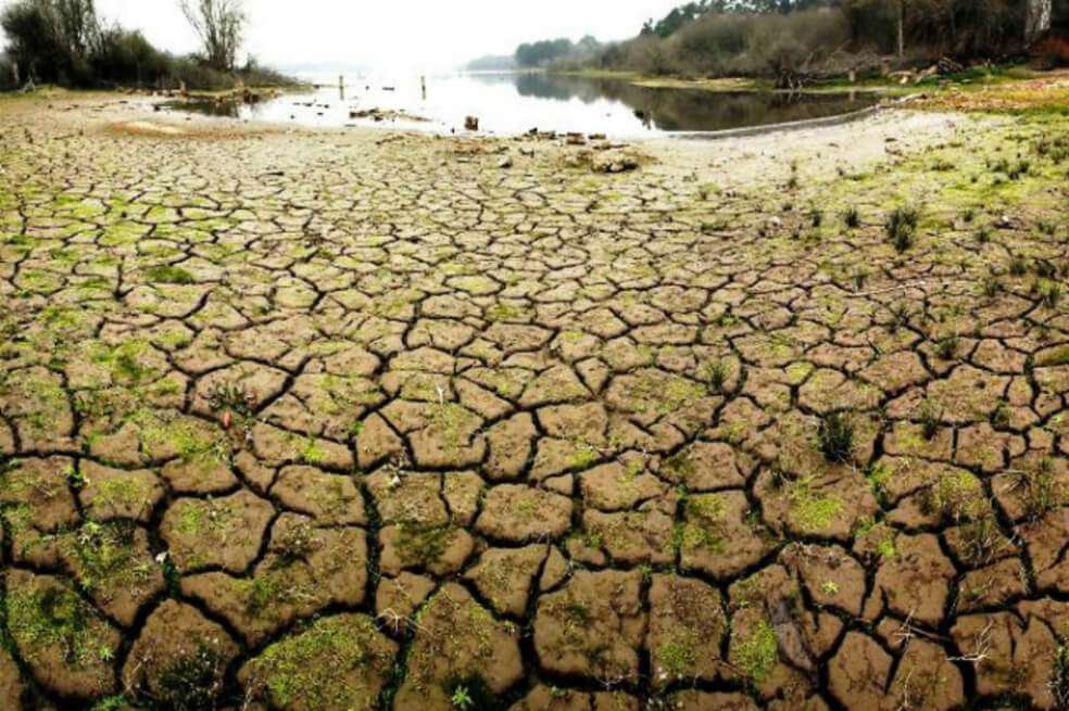 Además de convertirse en herramientas difursoras de la información sobre el cambio climático, muchos medios han decidido aplicar en sus redacciones políticas de sostenibilidad. / EFE