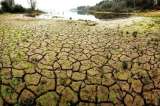 Las iniciativas de los medios de comunicación para reducir la huella de carbono