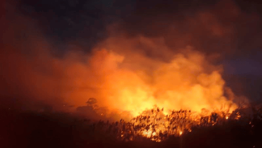 Incendios en el departamento del Tolima.
