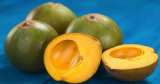 ¿Qué es la lúcuma, la fruta andina que es considerada un superalimento y dónde se consigue?