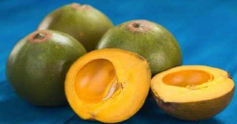 ¿Qué es la lúcuma, la fruta andina que es considerada un superalimento y dónde se consigue?