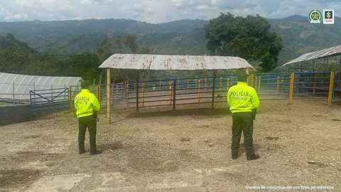 Incautan bienes por más de $260.000 millones de “Mario Bros” y otros narcos