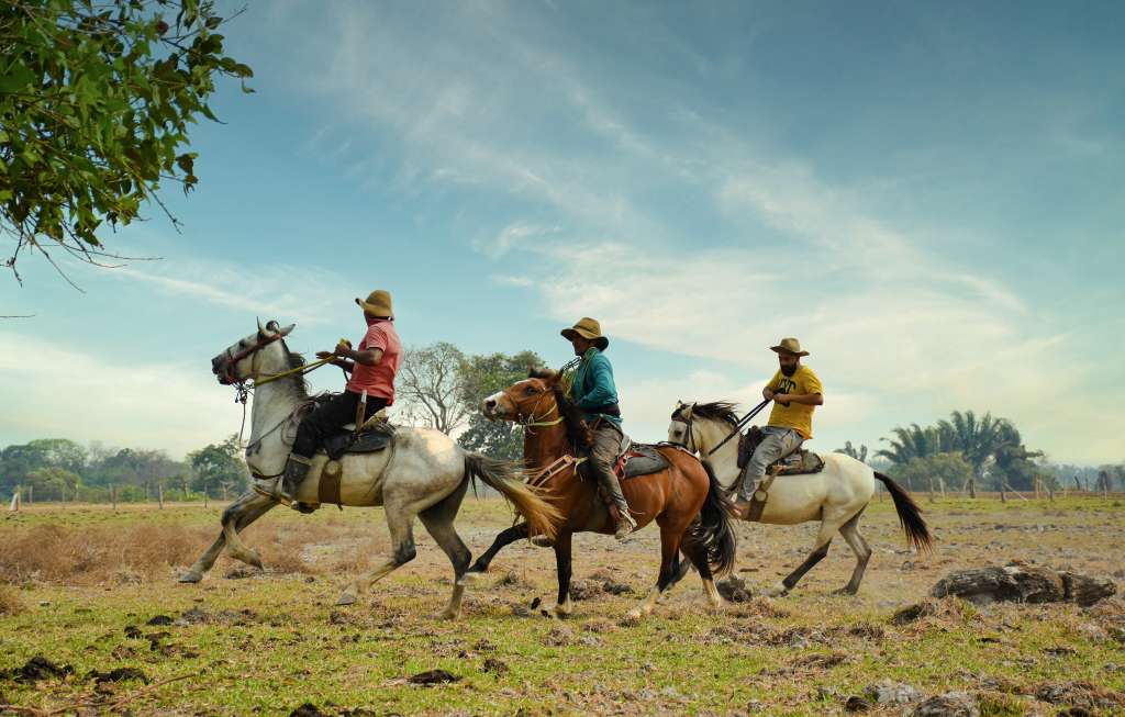 Otras de las múltiples opciones para vivir la experiencia del Llano, es la Finca el Madrazo, en el Hato Corozal.