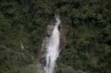 Un estudio global da nuevas luces sobre la reforestación: esto dice sobre Colombia