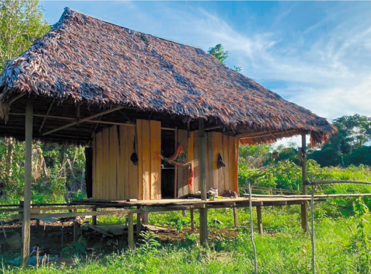 La casa de Magdalena y Lesly. Dos metros cuadrados de tablas cubiertos con paja de puy. El cernidor de yuca se ve a la izquierda.