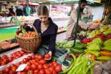 Acciones por un planeta sano PREMIO BIBO 2022