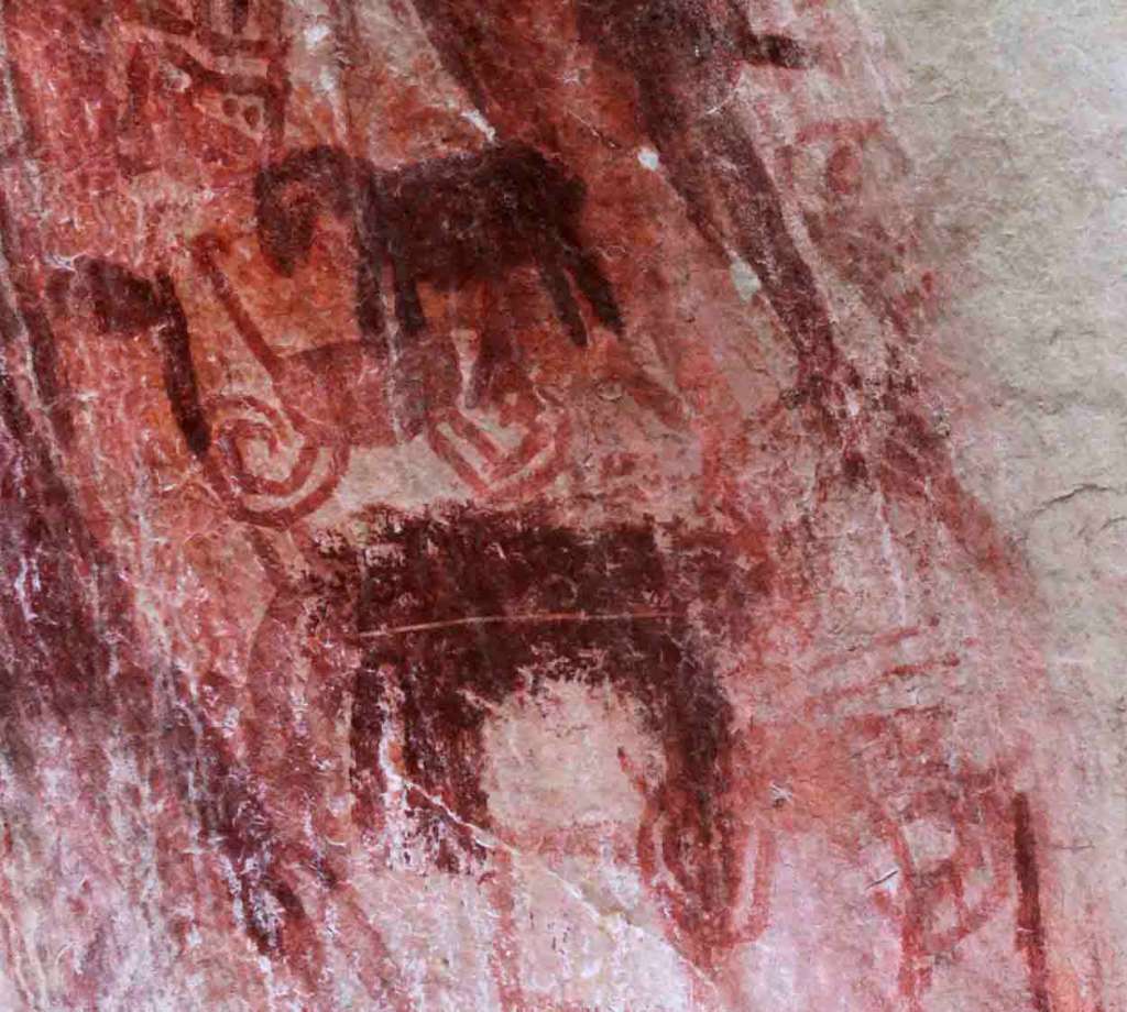 Figuras de caballos identificadas en La Lindosa.