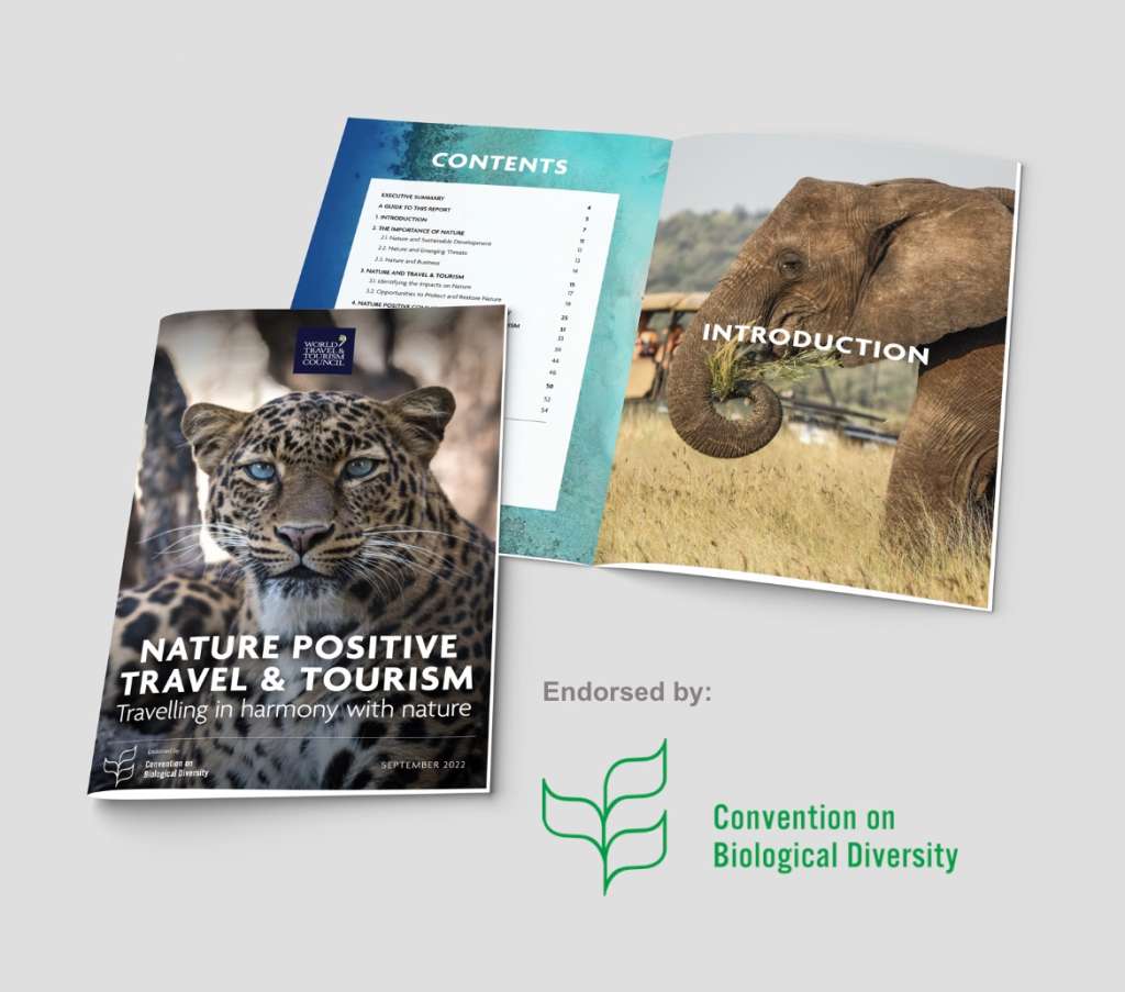 Como parte de sus acciones en favor del cuidado medioambiental, el WTTC presentó el reporte ‘Nature Positive Travel & Tourism’.