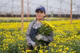 De Colombia para las madres del mundo: así se exportaron millones flores del país