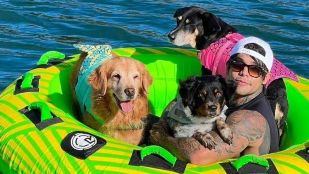 Yeferson Cossio pagará 300 esterilizaciones a perros en La Guajira: “Pueden ser 600″