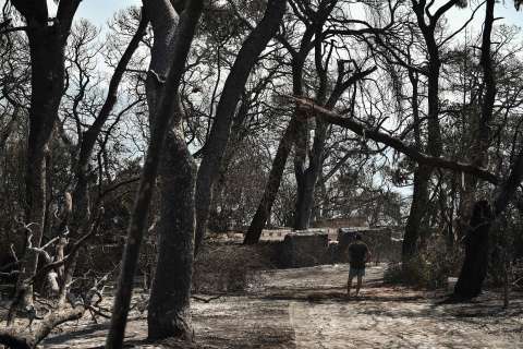 Los incendios asedian de nuevo a Grecia en medio de ola de calor